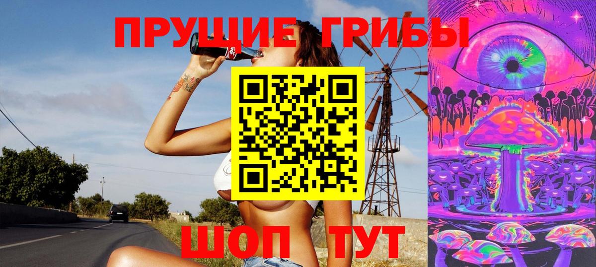 Псилоцибиновые грибы Psilocybine cubensis  Долгопрудный 