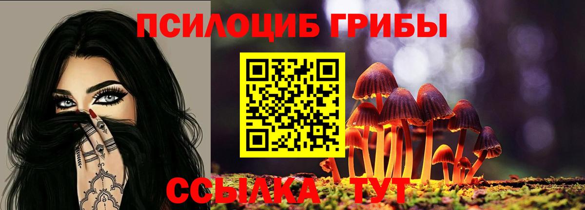 Долгопрудный  Галлюциногенные грибы GOLDEN TEACHER  Вход с VPN  Галлюциногенные грибы MAGIC MUSHROOMS 