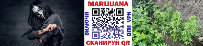 Канабис сатива Долгопрудный