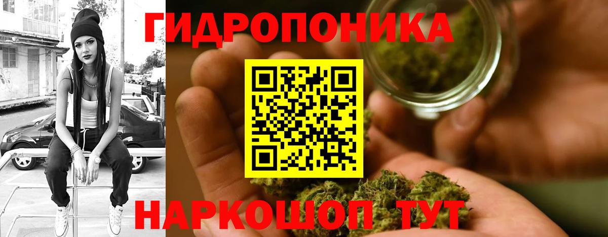 Конопля конопля  Вход с VPN  Долгопрудный  Конопля MAZAR  Конопля индика 